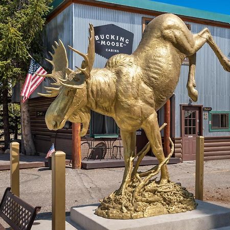 The Bucking Moose Hotel West Yellowstone Exterior photo